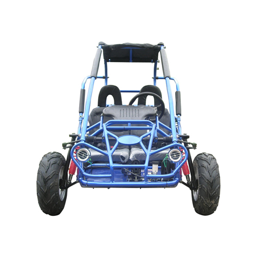 200cc Youth off road buggy