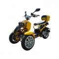 50cc 3 hjul gass Scooter Trike Motorycycle 